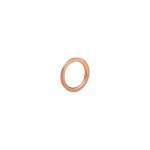 Уплотнительное кольцо Norgren 48021306 материал: медь, подходит для G3/4A